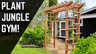 Simple DIY Wooden Garden Arbor  Redwood Trellis [upl. by Kenji]