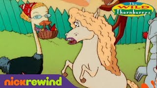 The Wild Thornberrys Donnies SuperFly Game Nickelodeon Games [upl. by Floss]