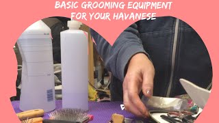 Havanese dogs  Basic grooming equipment requirements for your Havanese [upl. by Adekan]