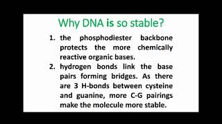 Why DNA is So Stable [upl. by Rafaello382]