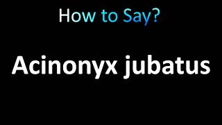 How to Pronounce Acinonyx jubatus correctly [upl. by Ekyt]