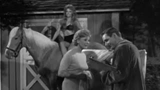 Mister Ed Season 1 Episode 3 1961 Busy Wife [upl. by Eislek]