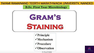 Gram Staining Differential Staining Principle Mechanism Procedure and Applications Marathi [upl. by Hartmunn]