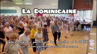 LA DOMINICAINE La nouvelle danse de Manu Blanchet et Sébastien Perrin [upl. by Nyraf289]