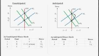 Macro Problem  Sticky Price Model and an Unanticipated Monetary Expansion vs Anticipated [upl. by Claudette]