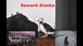 Seward Alaska and Sea Life Center [upl. by Kiri]