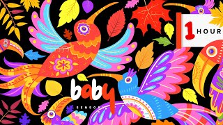 Bright Baby Sensory Mexican BIRDS In Autumn Garden High Contrast Video for Baby Brain Development👶🐦 [upl. by Nehtanoj]