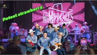 LIVE POTEET STRAWBERRY  Festival 13April2024   DAVID LEE GARZA Y LOS MUSICALES [upl. by Airoled]