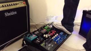 Ambiencia strymon bluesky el capistan boss rv5 [upl. by Enair]