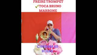 CHORAM AS ROSAS  BRUNO MARRONE   FREIRE TROMPETE [upl. by Nette]