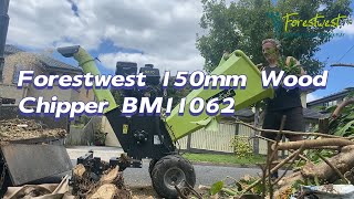 Forestwest 150mm 20hp Wood Chipper BM11062 in action [upl. by Enelez]