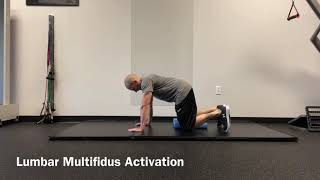 Lumbar Multifidus Activation [upl. by Wahl]