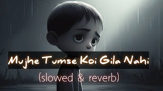 Mujhe Tumse koi Gila Nahi Song Lofi slowed amp reverb [upl. by Merriott]