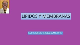 LIPIDOS Y MEMBRANAS [upl. by Orimisac]