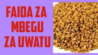 quotFaida za Ajabu za Mbegu za Uwatu kwa Afya Yakoquot [upl. by Coben]