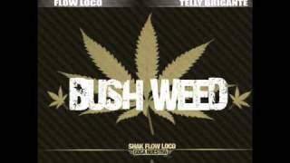 Shak Flow Loco ft Biga Ranx  BushWeed [upl. by Ennaisoj]