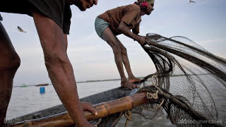 Bangladesh fishermen amp climate change Part 3  360documentaries ABC Radio National [upl. by Atikan]