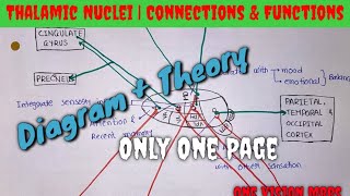 Thalamic Nuclei3Connections amp Functions diagramatic representation22 Only one page chart [upl. by Hajan]