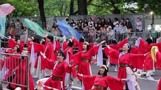 Yosakoi Soran Dance Festival 2023 Extended Footage [upl. by Lovering]