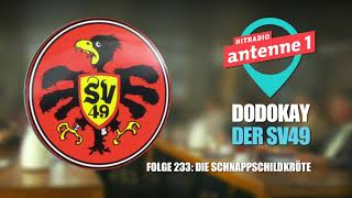 SV49 Die Schnappschildkröte Folge 233  Dodokay [upl. by Ahsimac]