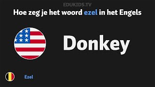 Hoe zeg je ezel donkey in het Engels [upl. by Fleck669]