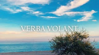 MalaVoglia  VERBA VOLANT [upl. by Weisbart]