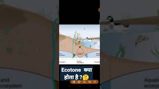 ecotone को समझिए  edge effect meaning in hindi ecology for UP TGT PGTRPSC EXAMS [upl. by Reddy652]