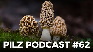 Pilz Podcast 62 mit derpilzfluesterer amp drrattenkaiser5275 [upl. by Stahl548]