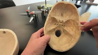 Skull Sphenoid and Ethmoid Bone and their bone markings [upl. by Otreblon]