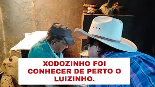 XODOZINHO SANFONEIRO DO GINO E GENO FOI CONHECER O SR LUIZINHO [upl. by Amling198]