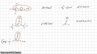 Chimica Organica  Gruppi funzionali parte 1 [upl. by Neyut]