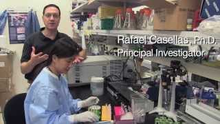 Genome Modification Provides Hope for Gene Therapy  Rafael Casellas NIH Scientist [upl. by Dez]