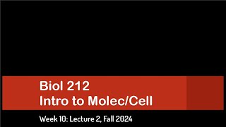 CSULB Biol 212 Fall 2024  Week 10 Lecture 2 [upl. by Aicatsan864]