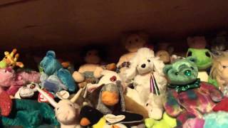 Beanie Baby Collection [upl. by Pass]