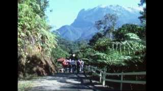 Climbing the Mount Kinabalu 1977 Sabah  Malaysia [upl. by Nesila]