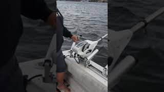 Cannon Digitroll 10TS jig feature [upl. by Egedan]