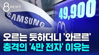 오르는 듯하더니 와르르…충격의 4만 전자 이유는  SBS 8뉴스 [upl. by Nnylakcaj]