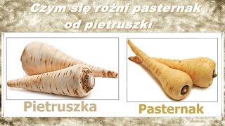 Pietruszka i pasternak Czym się różnią [upl. by Ellemaj577]