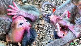 Awesomely Youngest Mother When to First Checking Baby Just Born Adorable On The Ground [upl. by Ahsilav]