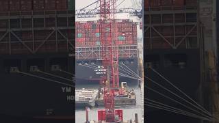 Container ship loadingunloading operation shorts [upl. by Diane807]