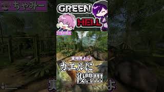 【GREEN HELL】散々苦しめられたあのカエルに天誅を ゲーム実況 グリーンヘル greenhell [upl. by Eniamaj]