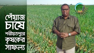 জাজিরায় পেঁয়াজ চাষে সফল কৃষক  কৃষি দিবানিশি  Shykh Seraj  Bangladesh Television [upl. by Gris720]