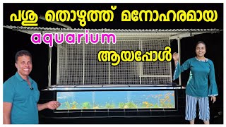 ഞങ്ങളുടെ വീട്ടിലെ ഏറ്റവും ഭംഗിയുള്ള കാഴ്ച ❤️ Aquarium Making video Home Surrounding [upl. by Norri]