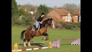 Mottingham farm riding centre [upl. by Maure]