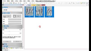 Microscope camera software introduction Still Image Stitching [upl. by Amaj1]