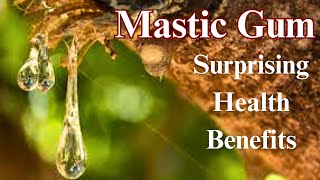 The 10 Surprising Health Benefits of Mastic Gum [upl. by Nerb998]