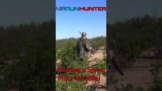 Hunting Break Barrel Spring Piston Air Rifle [upl. by Thormora]