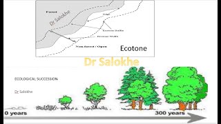 Community Ecology Ecotone and edge effect Ecological succession [upl. by Aisatna65]