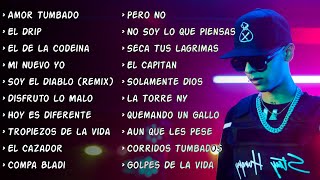 Corridos Mix 2020  Natanael Cano Mix  Top 20  Amor Tumbado El Drip Mi Nuevo Yo Pero No Y Mas [upl. by Evelinn744]