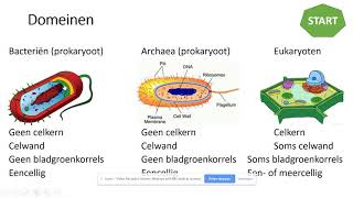 1HVG  BvJ  Thema 4  Ordening  Les 1 [upl. by Boj]